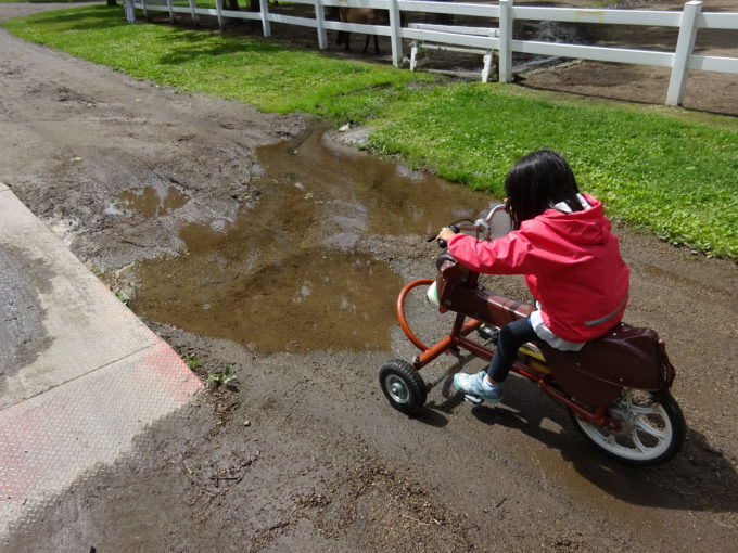 5歳 骨折 自転車 補助席