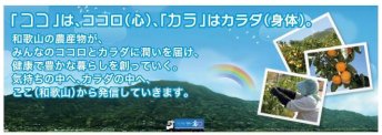 【和歌山県】「和歌山県農業協同組合連合会」広告付年賀はがき