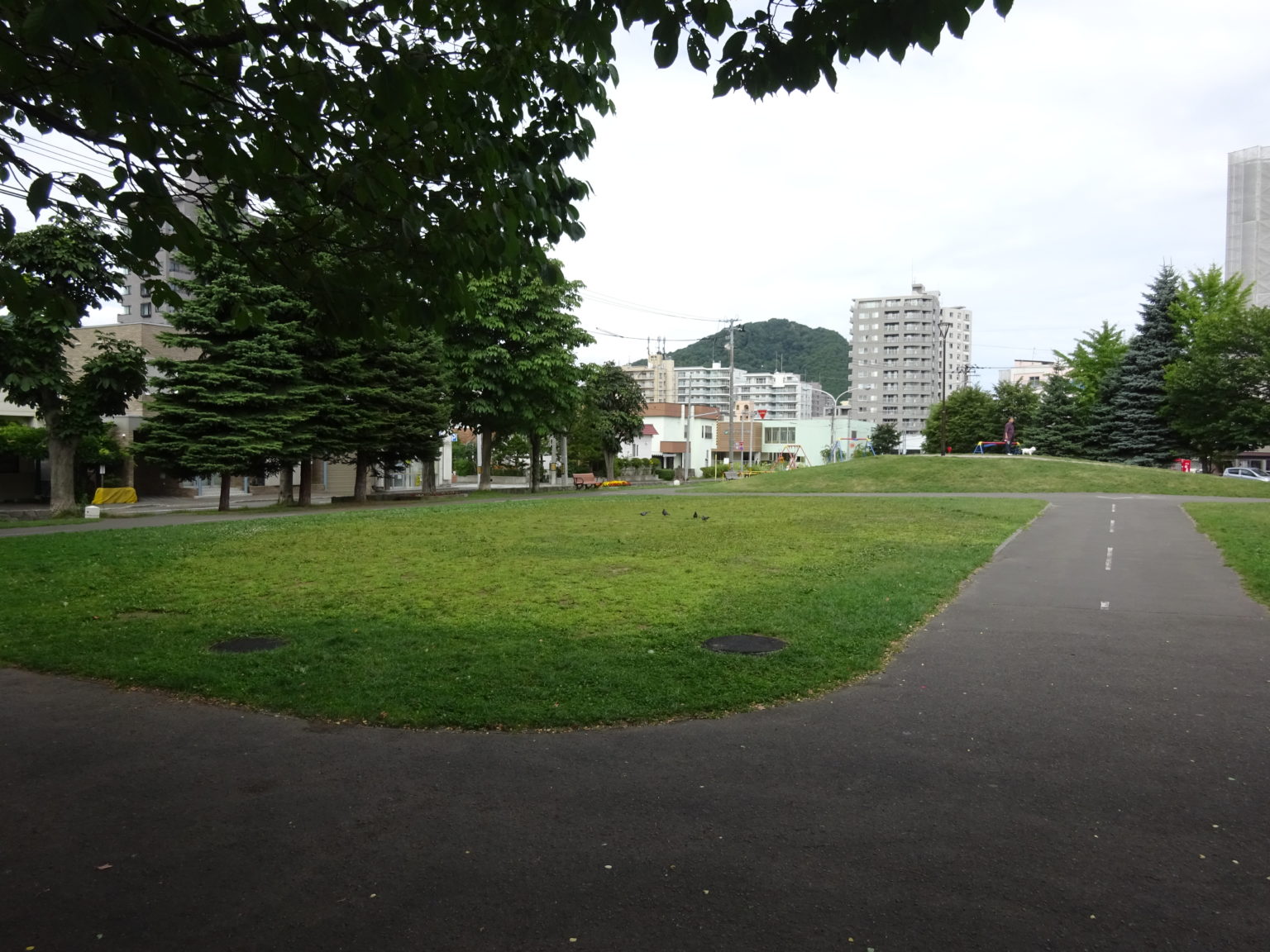 札幌 自転車 公園
