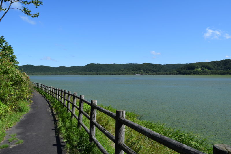 達古武湖の遊歩道