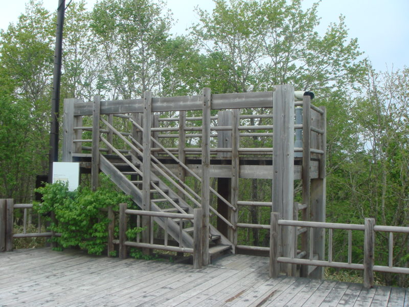 木製の展望台