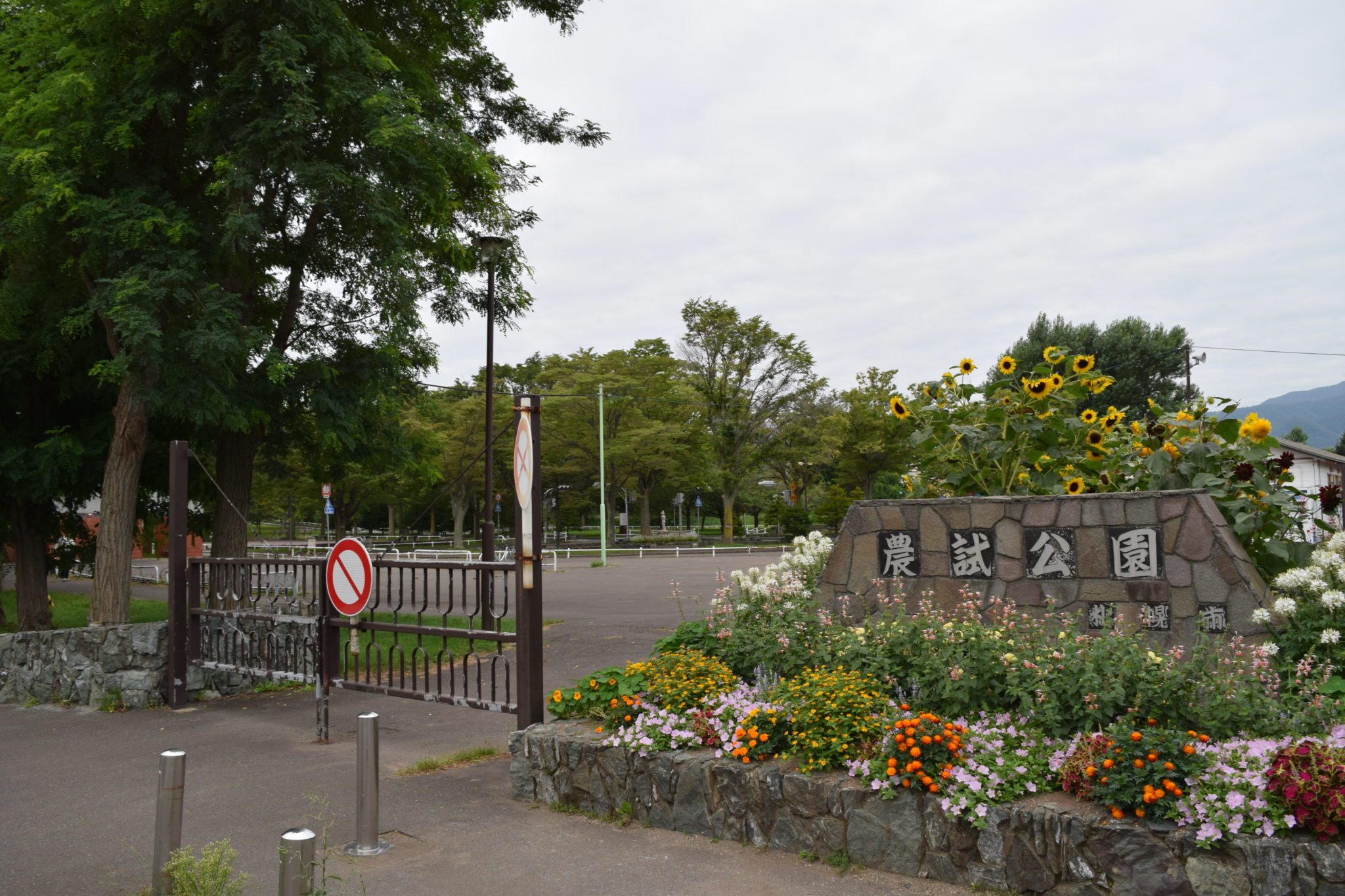 北海道 自転車で遊べる公園