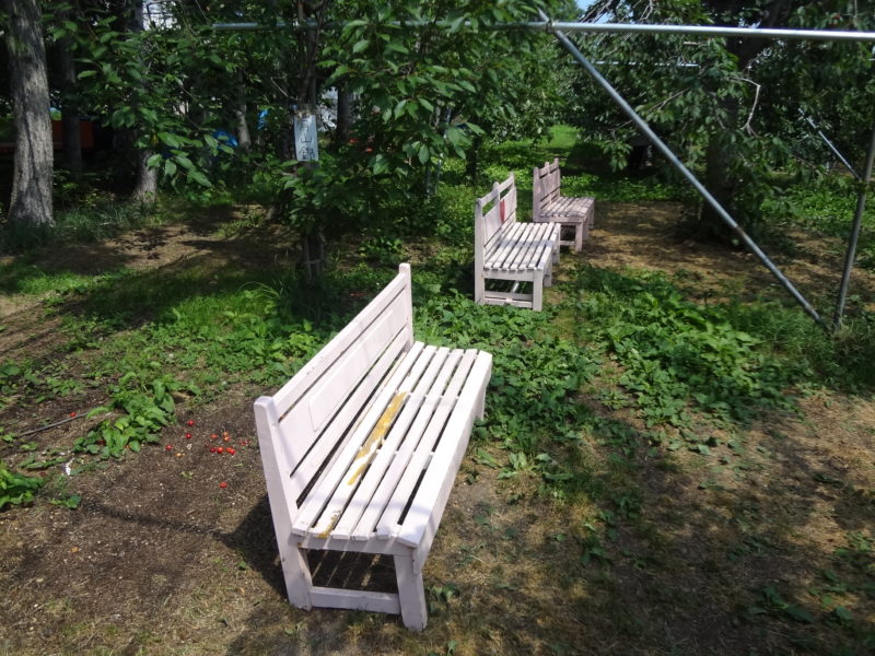 果樹園ビニールハウス下のベンチ
