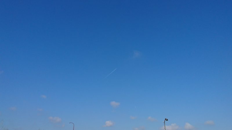 芝生広場からの飛行機雲