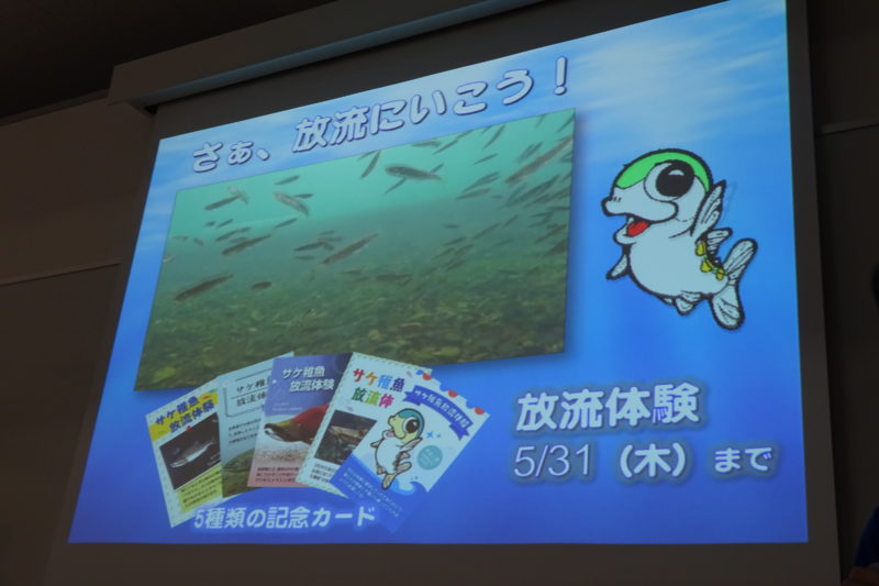サケ稚魚放流記念カードコンプリート