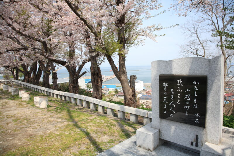 小樽水天宮桜