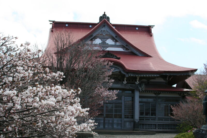 清隆寺桜