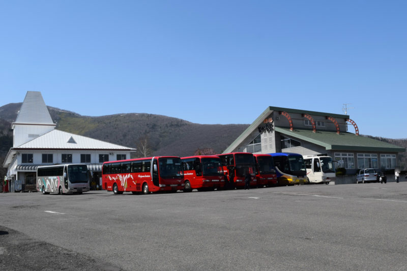 立ち並ぶ観光バスの車両