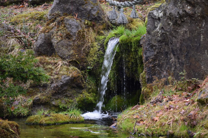 庭園の池に流れ込む滝の水