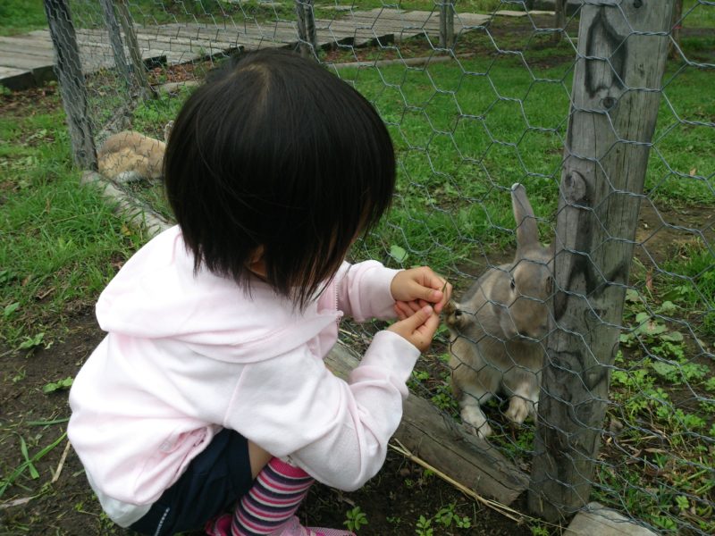 北海道の動物ふれあいスポット・エサやり体験スポット一覧