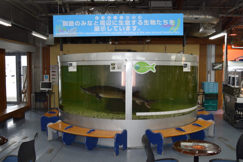 釧路フィッシャーマンズワーフMOOエコポート水族館
