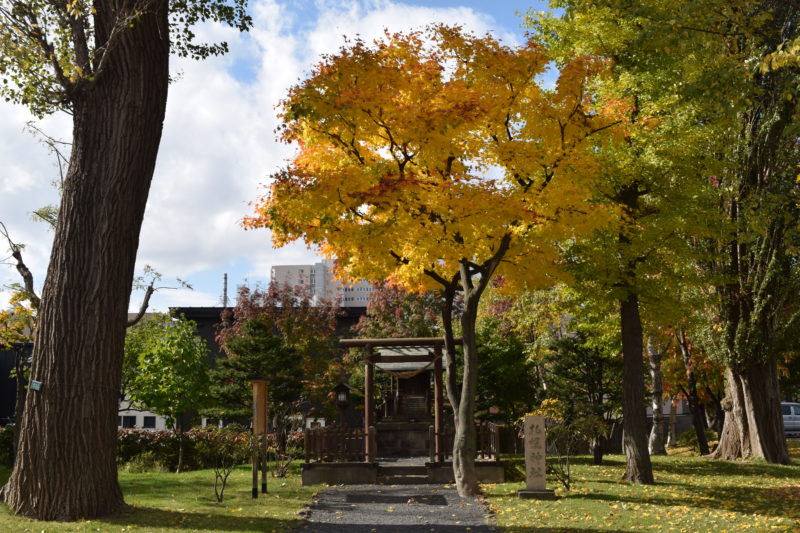 札幌神社の黄葉