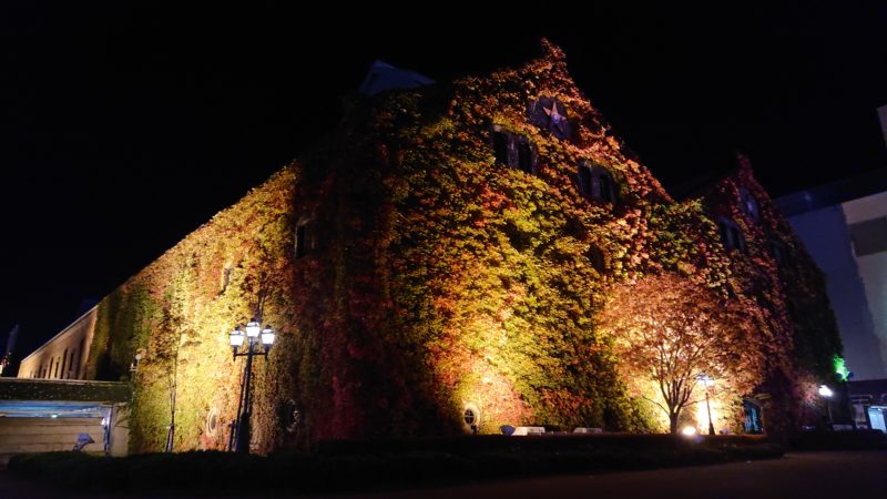 夜にライトアップされるサッポロファクトリーレンガ館のツタ紅葉